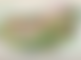 Novo Parque do Pokemon no Japão