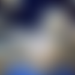 Kamo Aquarium: O aquário das águas-vivas que virou obra de arte