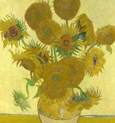 sunflowers