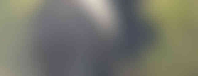 elephants Livingstone national park