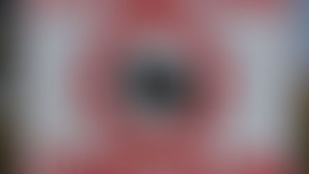 A Family Reunion Across Zambia, A Journey of Home, Wildlife, and Heart -Trip to Zambia