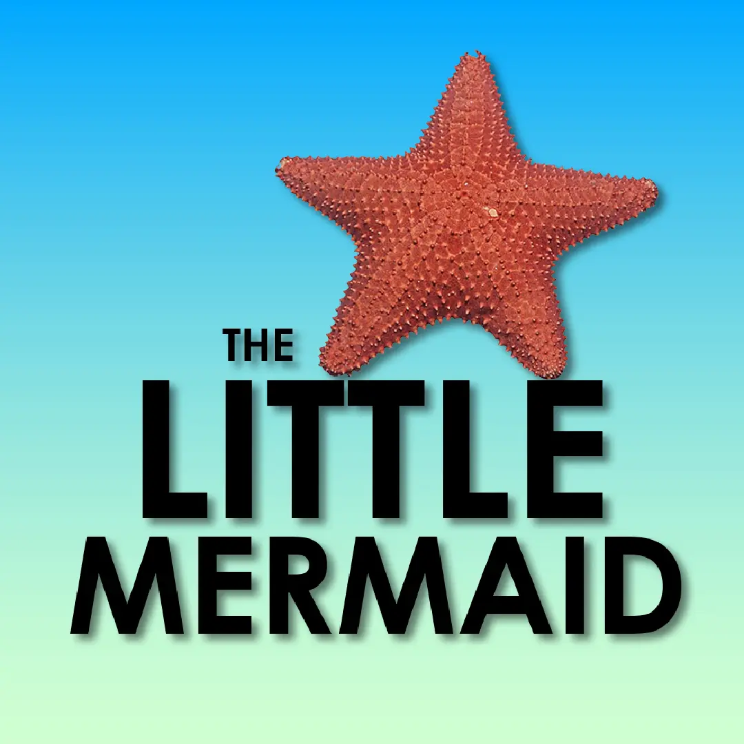 MMT-Childrens-Show-2024-BG_V1_LITTLE MERMAID.webp