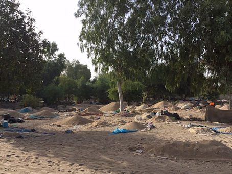 Les trieuses de coquillages de Nianing