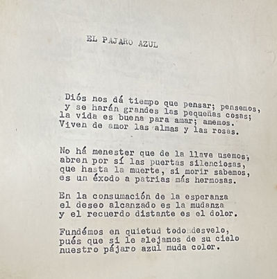 WhatsApp Image 2025-08-20 at 15.08_edited.jpg