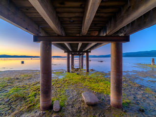 Experience South Lake Tahoe Events This Summer at Famous Cabin