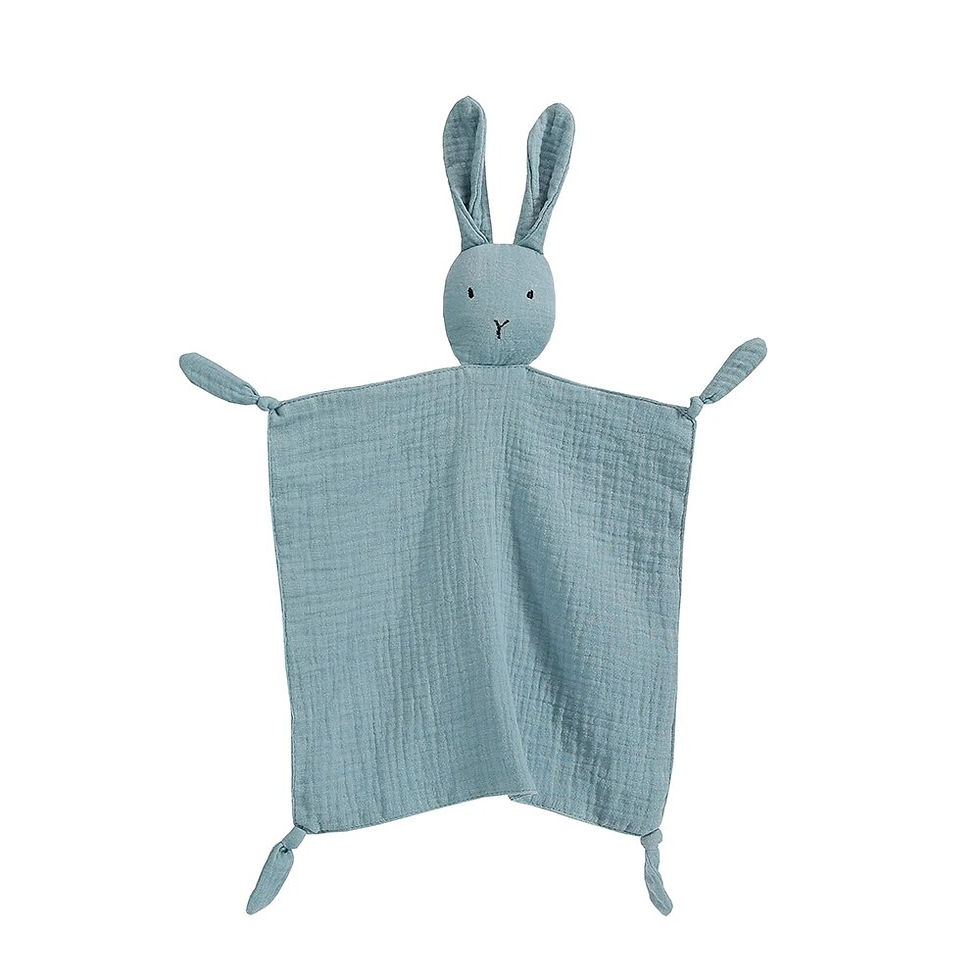 Thumbnail: Baby Sleep Security Blanket