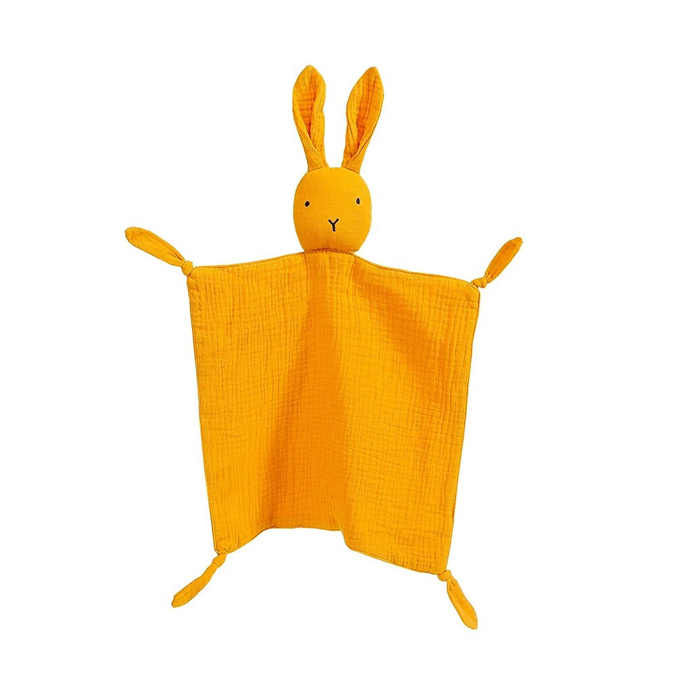 Thumbnail: Baby Sleep Security Blanket