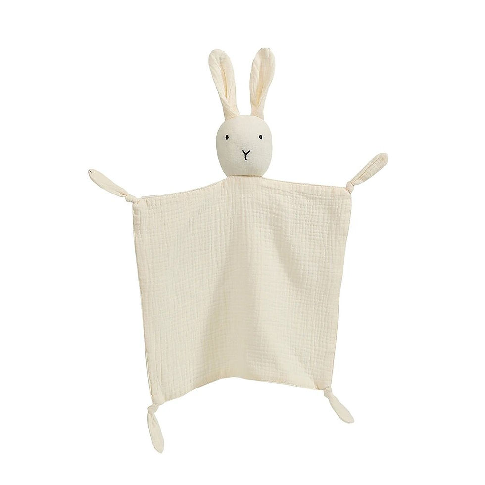 Thumbnail: Baby Sleep Security Blanket
