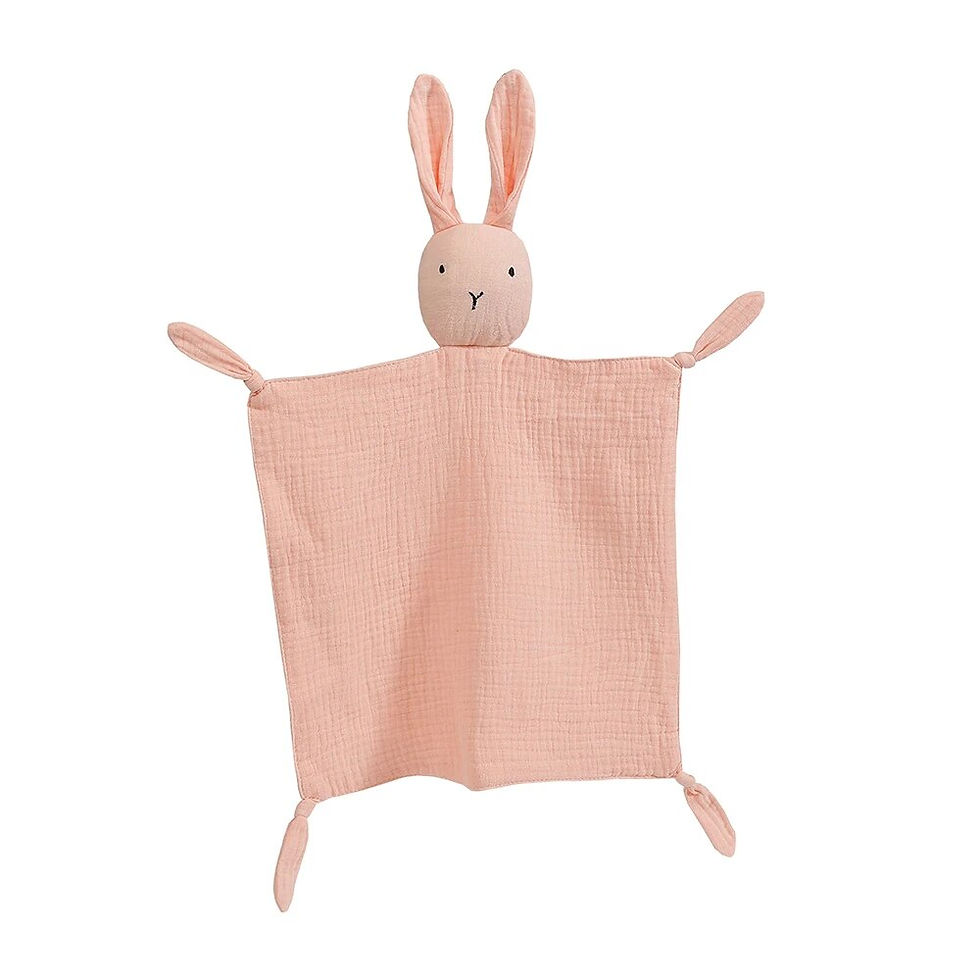 Thumbnail: Baby Sleep Security Blanket
