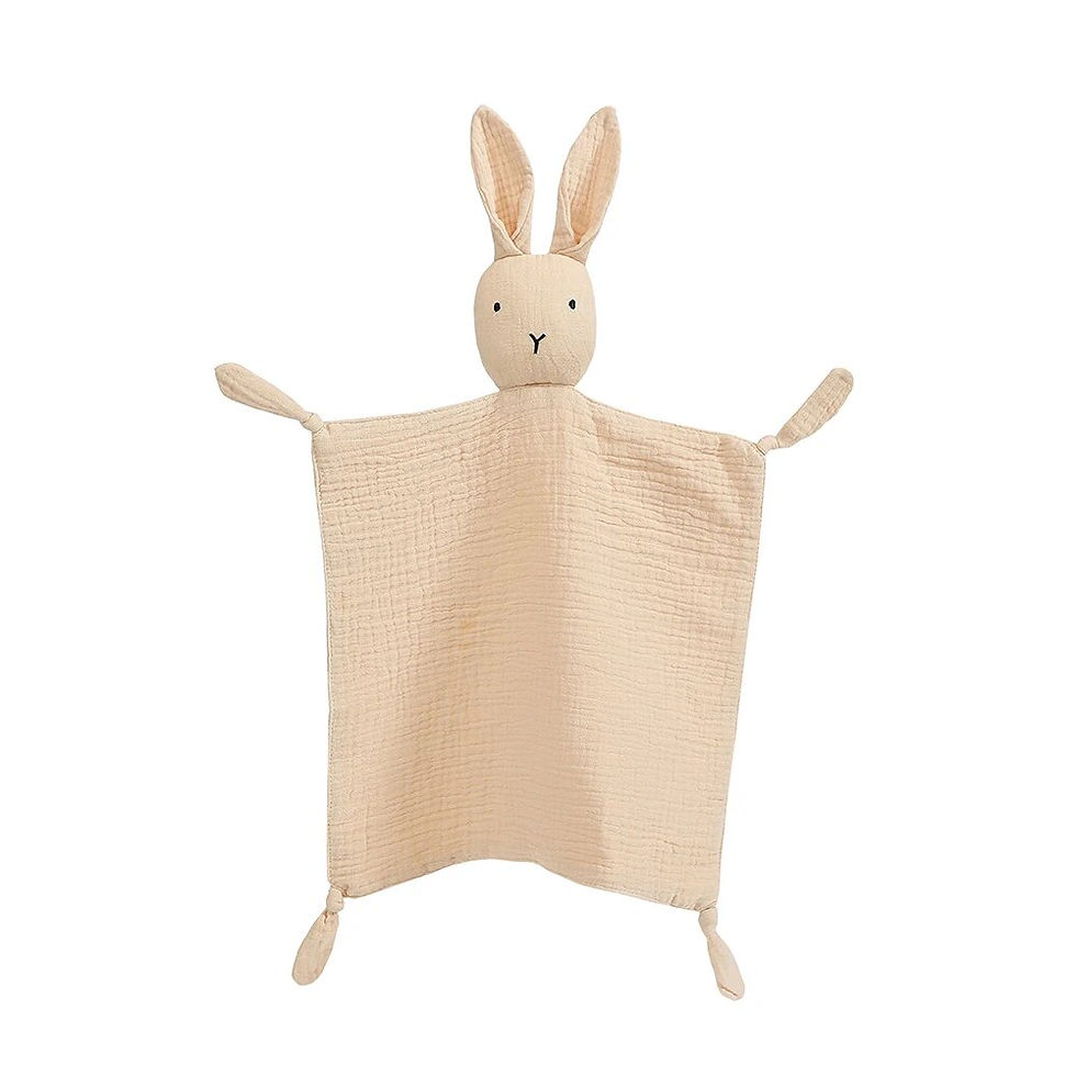 Thumbnail: Baby Sleep Security Blanket