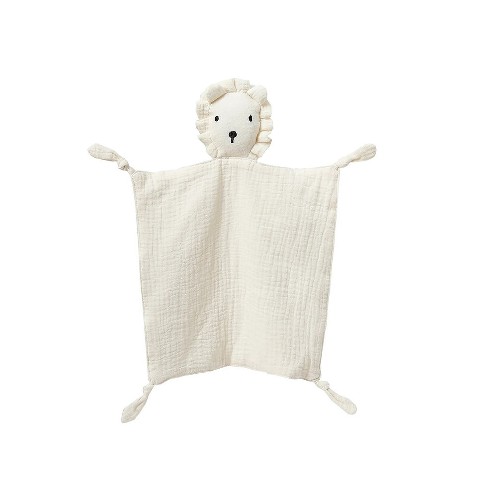 Thumbnail: Baby Sleep Security Blanket