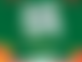 20th November to December 1st