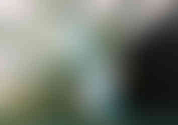 Commended Lajthiza Invest sha - Natural Mineral Water, Carbonated Soft Drinks