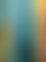 Introduction: Human Cooperation