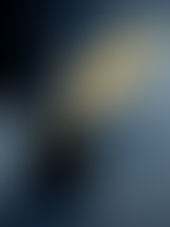 CHAPTER 3: HUMANS and LEARNING