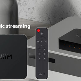 Exploring the Versatile Range of WiiM Products and Their Unique Features