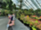 Cloud Forest Gardens by the Bay Singapore