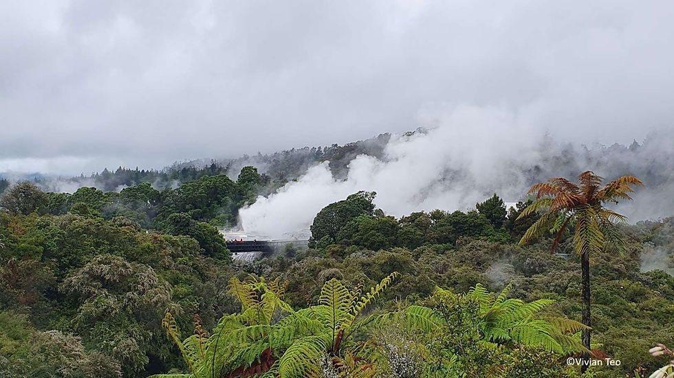 Te Puia Rotorua New Zealand