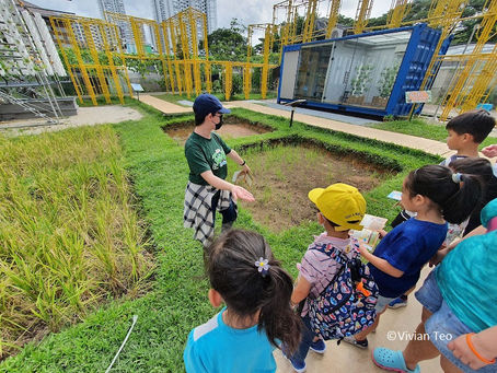5 highlights kids will love at the Little Farm Explorers urban farm tour