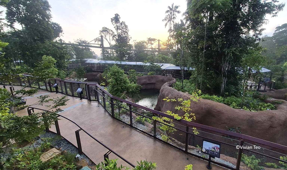 Mandai Wildlife Reserve Crocodile Lodge glamping Singapore