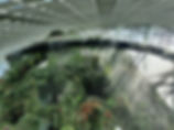 Cloud Forest Gardens by the Bay Singapore