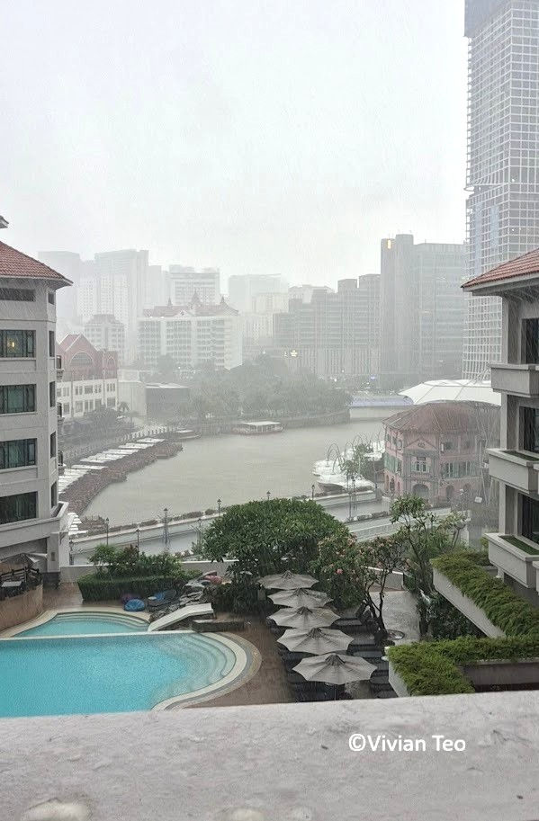Paradox Singapore staycation