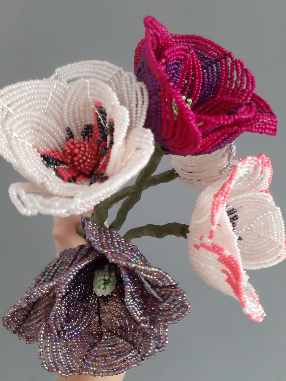 Thumbnail: Papaver Poppy (Large)