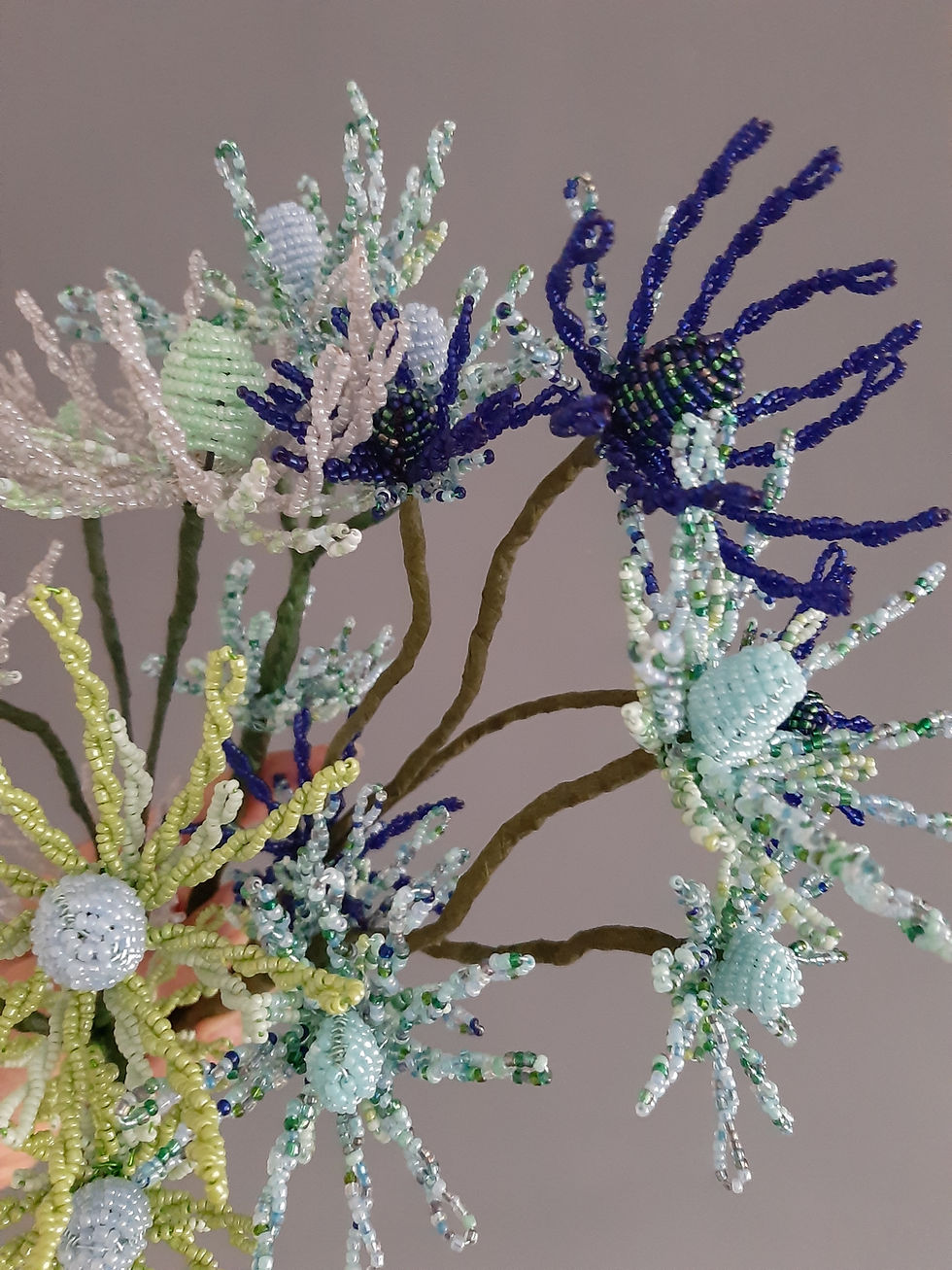 Thumbnail: Eryngium - Sea Holly