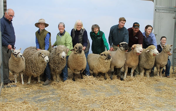 nine heritage sheep and their breeders