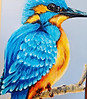 Kingfisher 2.jpeg