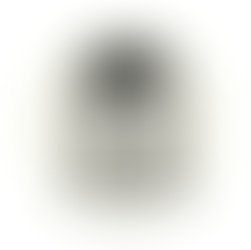 子供を連れて別居したところ夫から子の監護者指定と引渡しの審判を申し立てられたが、審判で監護権を獲得した事例