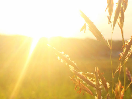 Gesellschafterversammlung – Abstimmung per E-Mail