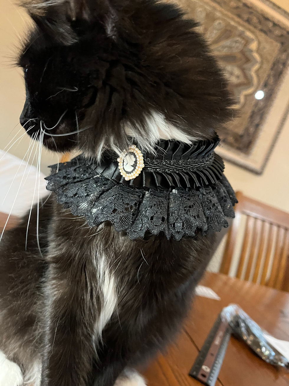 Cameo ribbon and lace collar 