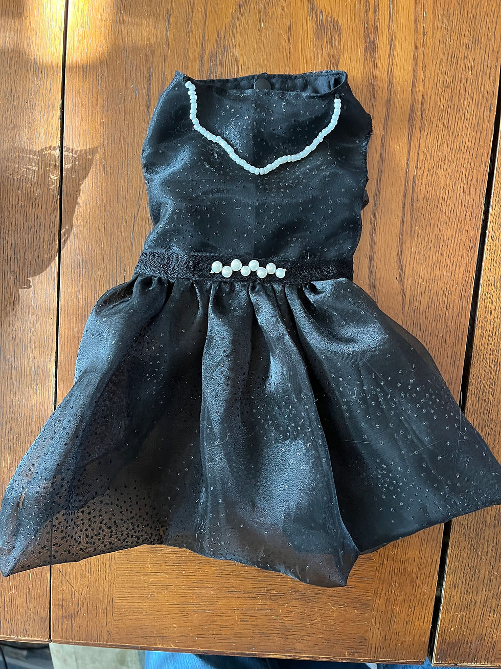 Audrey Hepburn inspired dress