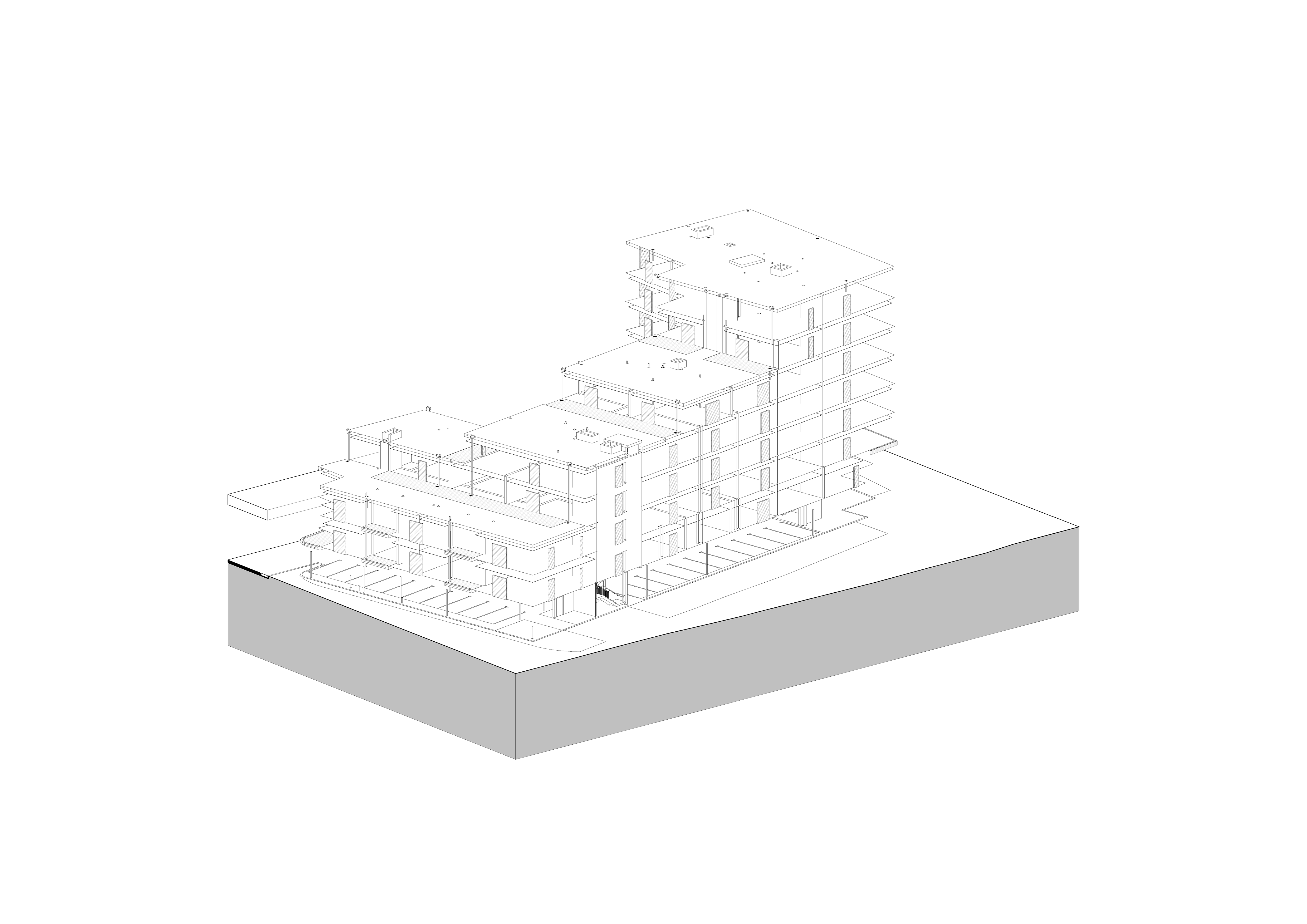 Dikon-main-GIF.gif