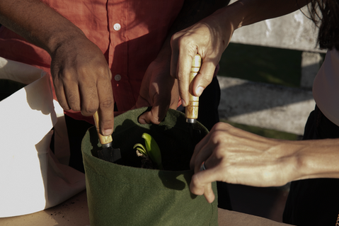 IG 6 Carroseul _9.png