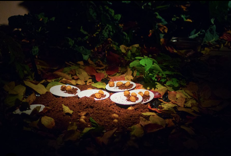 Screen Shot 2022-12-15 at 11.28.10 PM.png