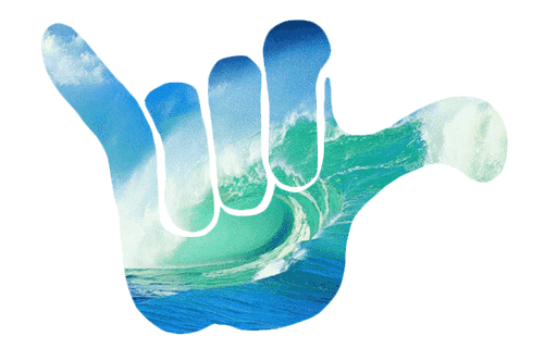 Surf's+Up.gif