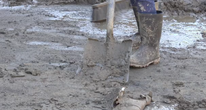 Screenshot 2025-01-23 at 1.39.40 PM.png