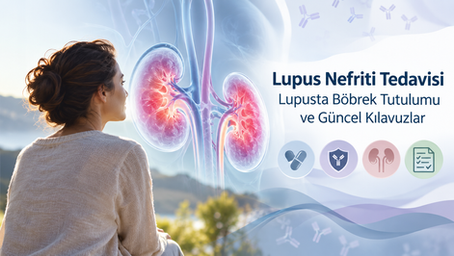 Lupus nefriti tedavisi ve böbrek tutulumunu anlatan, böbrek görseli ve güncel tedavi kılavuzlarını simgeleyen tıbbi illüstrasyon.