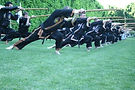 IMG_5093.JPG