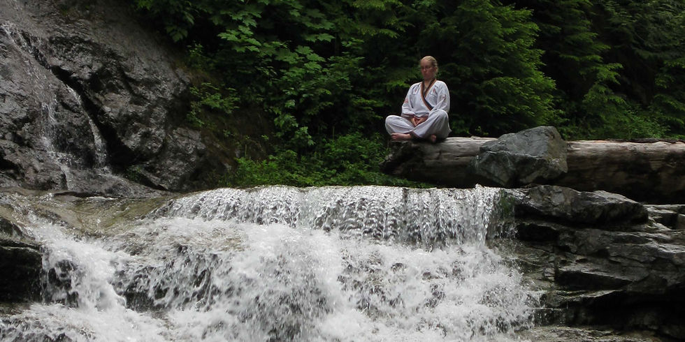 Why Learning Tai Chi Is One of the Most Important Skills for Long-Term Health