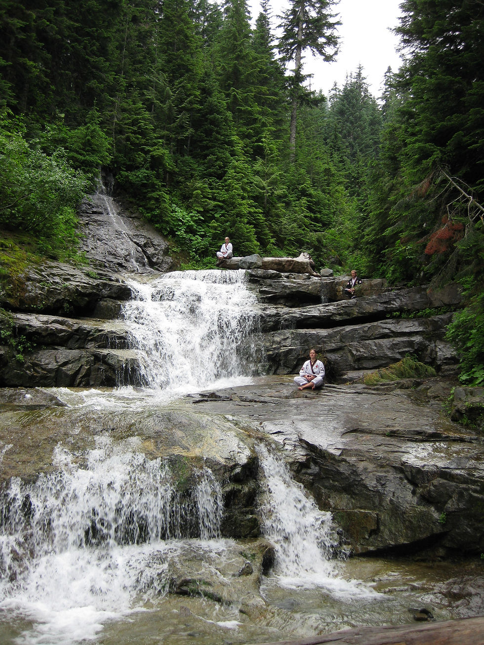 Stress relief for adults near me - Tai Chi lessons near me of meditation seminar