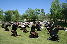 Picture 014.jpg
