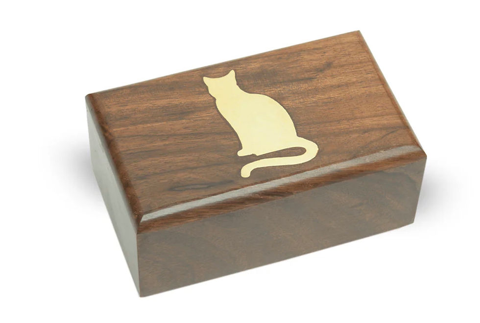 Cat Urn
