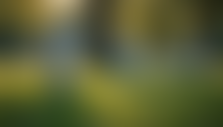 Top Memorial Songs for Honoring Pets