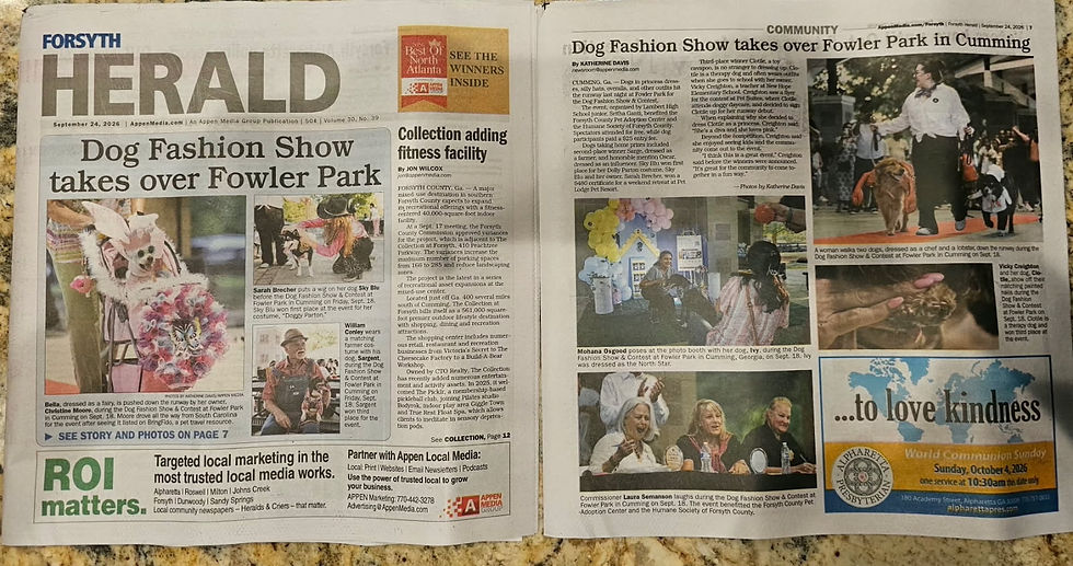 Paws on the Runway: Local Dogs Show Off Their Style
