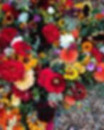 Thumbnail: Wisconsin Red