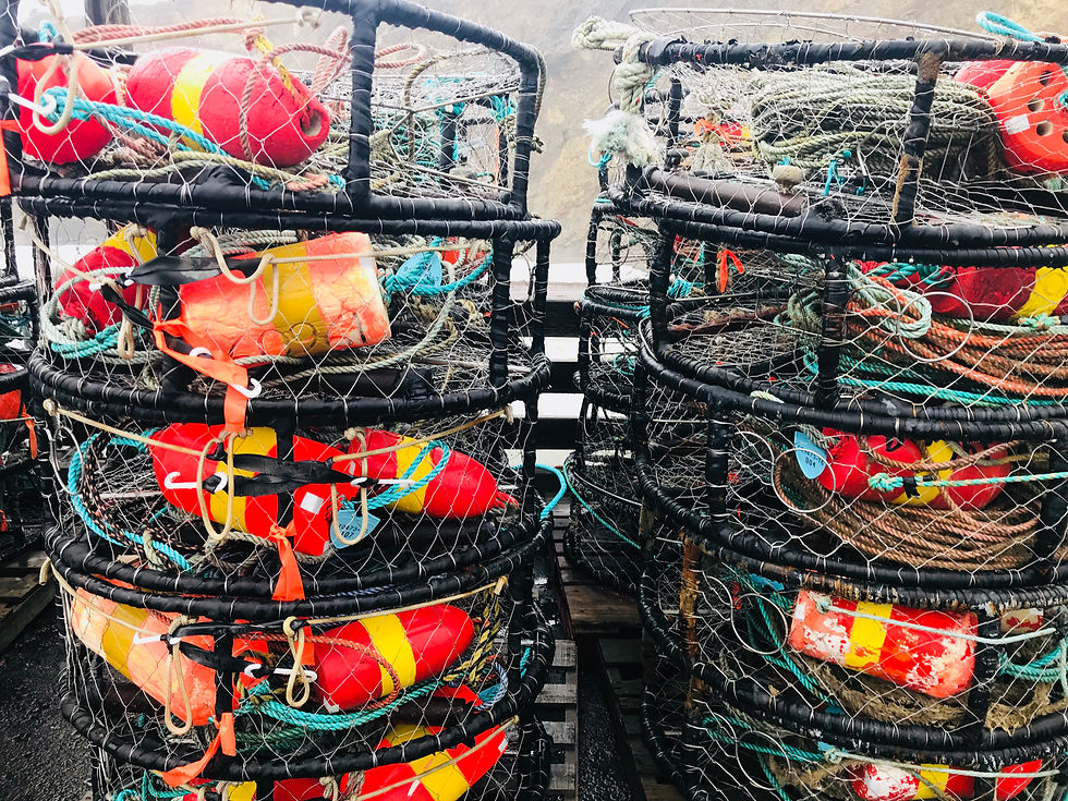 Thumbnail: Heavy-weight Dungeness Crab Pullover Hoody