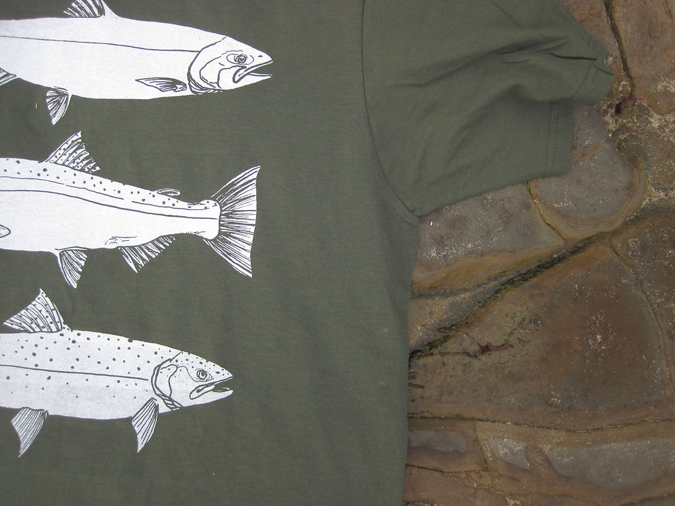 Thumbnail: Salmonids of California